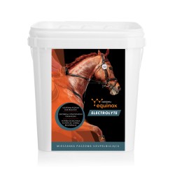 Equinox Electrolyte 3kg preparat dla koni
