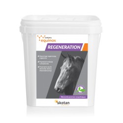 Equinox Regeneration 1,5kg preparat dla koni