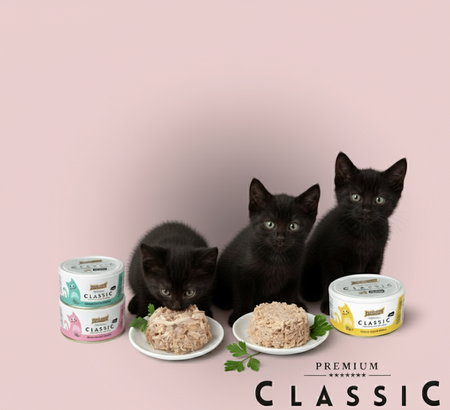 Princess Classic 70g Kurczak Tuńczyk Szprot 7+1 mokra karma dla kota w galaretce