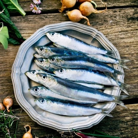 Smart Nature - Sucha Karma dla Kota z Kaczką i Sardynkami próbka 100g