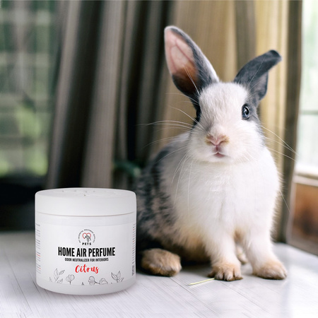 Pets Home Air Perfume 170g - Citrus