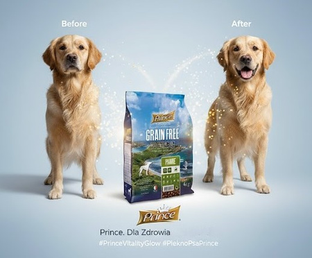 Prince Plus Premium Grain-Free Bezzbożowa Karma dla Psów Średnich 20kg
