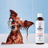 Pets Pet Shampoo Camomile 250ml Szampon dla zwierząt domowych