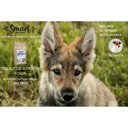 Smart Nature Puppy Free Range Turkey 6kg sucha karma dla szczeniąt