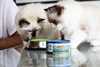 Princess Premium Hairball  Tauryna 70g mokra karma dla kota