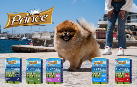Prince Premium Classic Tuńczyk Kurczak Wodorosty 400 g mokra karma dla psa