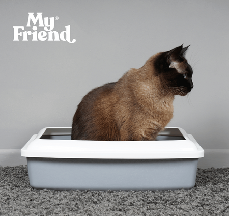 My Friend Micro Silica Żwirek Silikonowy Dla Kota PROM 4 sztuki x 3,8L