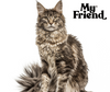 My Friend żwirek silikonowy dla kota zapach lawendy 3,8l Pakiet x9 szt