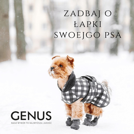 Pet Nose & Paw Balm 75ml balsam do łapek i nosa psów. Ochrona dla psa