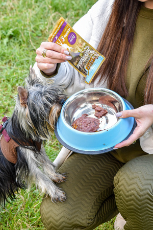 Prince Paleo Jeleń Brokuły Cukinia 150g mokra karma dla psa