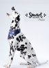 Smart Nature Hol Dog Sensitive Rabbit 12kg karma dla psa z mięsa królika, hypoalergiczna , bez kurczaka, 50% mięsa królika i indyka