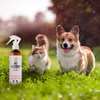 Pets Pet Anti insect 250ml mgiełka przeciw kleszczom dla psów i kotów