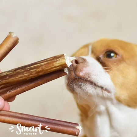 Smart Nature Linia Natural Przysmak dla psa Suszony Penis Wołowy zdrowy gryzak z penisa wołowego rozmiar M