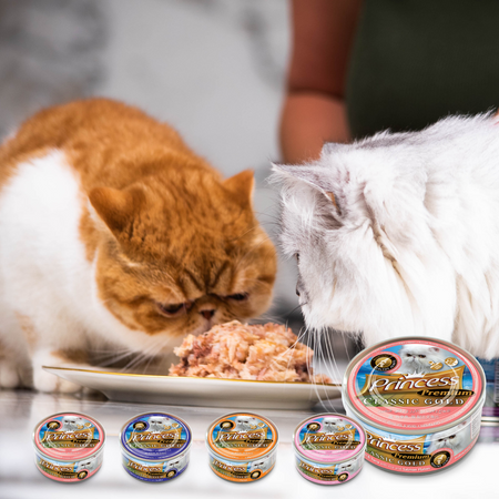 Princess Premium GOLD Odour Control 170g karma mokra dla kota