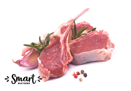 Smart Nature Holistic Dog Hypoallergenic Lamb 6kg  monoproteinowa karma dla psa, 100% jagnięciny, bez zbóż, bez kurczaka