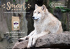 Smart Nature Holistic Dog Sensitive Rabbit 6kg  karma bez zbóż dla psów wszystkich ras, bez kurczaka, 50% mięsa królika i indyka