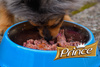 Prince Paleo Premium Jagnięcina Rozmaryn Jabłka 400 g mokra karma dla psa bez kurczaka