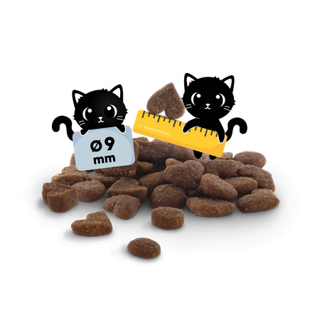 Lucky Lou Kitten drób i kurczak 340g  karma sucha dla kociąt