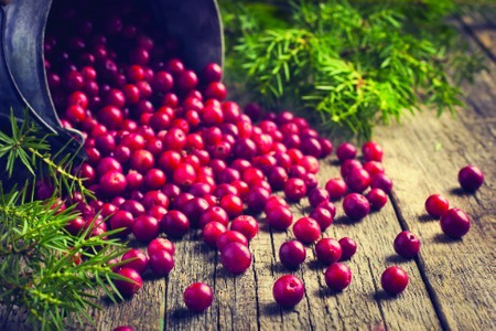 Smart Nature Dog Light Turkey&Cranberry 2kg  karma bez zbóż dla psów z nadwagą, bez kurczaka, wspierająca stawy