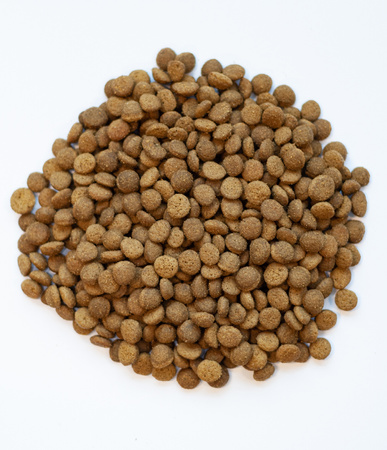 Smart Nature Cat Skin Coat Fish 5kg Bez zbóż, bez kurczaka Sterylized