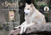 Smart Nature Dog Small Beef 2kg Monoproteinowa karma dla psa wołowina Angus