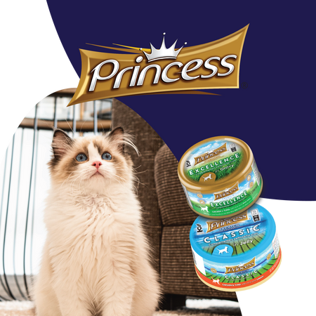 Princess Excellence Kurczak Tuńczyk Krewetki 70g karma mokra dla kota