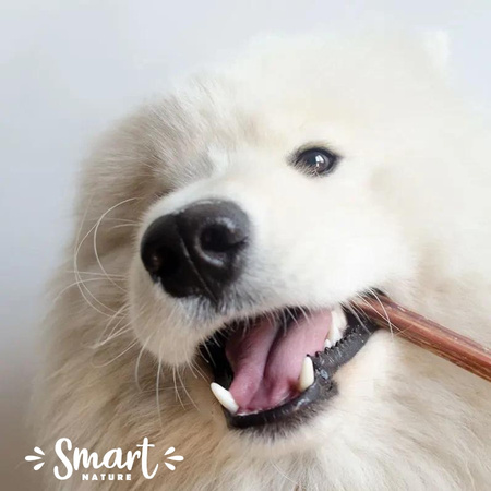 Smart Nature Linia Natural Przysmak dla psa Suszony Penis Wołowy zdrowy gryzak z penisa wołowego rozmiar M