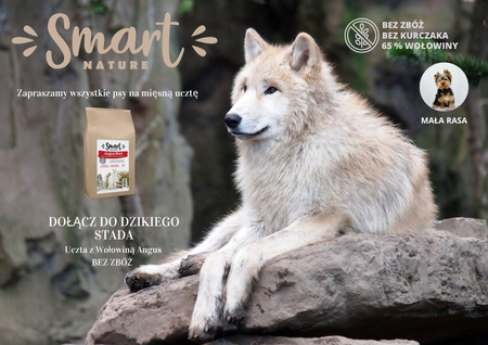 Smart Nature Dog Small Angus Beef 6kg 65% mięsa z wołowiny Angus, bez zbóż, bez kurczaka, superfoods, naturalny kolagen