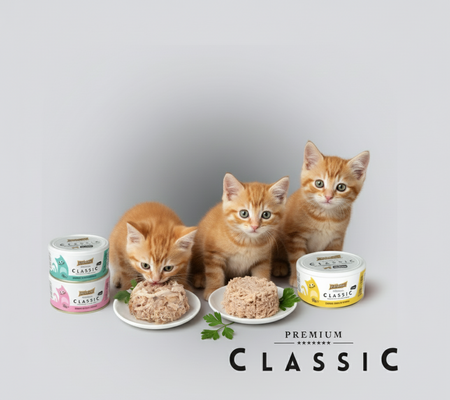 Princess Classic 70g Kurczak Tuńczyk Szprot 7+1 mokra karma dla kota w galaretce