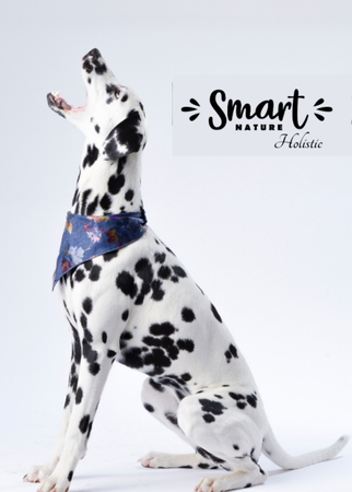 Smart Nature Original Senior 12 kg SINGLE PROTEIN Fish sucha karma dla psiego seniora 