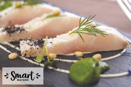 Smart Nature Puppy Skin Coat Fish 2kg  bez zbóż z 60% mięsa łososia z plamiakiem i białych ryb, karma dla szczeniąt