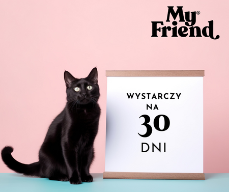 My Friend żwirek silikonowy dla kota zapach lawendy 3,8l Pakiet x9 szt