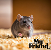 My Friend wiórki 30 L biodegradowalne delikatne 3x odpylane niebarwione