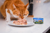 Princess Premium Tuńczyk Kurczak Homar Omlet 170g mokra karma dla kota
