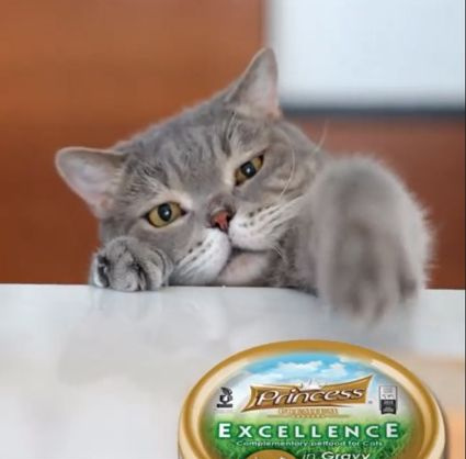 Princess Excellence Tuńczyk Pacyficzny Kukurydza 70g karma mokra dla kota bez kurczaka