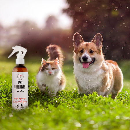 Pets Pet Anti insect 250ml mgiełka przeciw kleszczom dla psów i kotów