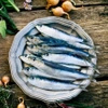 Smart Nature - Sucha Karma dla Kota z Kaczką i Sardynkami próbka 100g