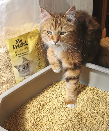 My Friend Gold Corn 7l /4,5kg zbrylający żwirek kukurydziany dla kota i małych zwierząt domowych.