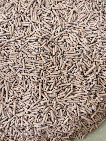 My Friend Tofu Żwirek dla kota zbrylający Kawowy 7,5 kg 2mm 18 litrów