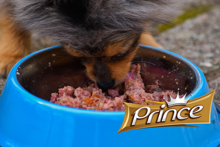 Prince Paleo Premium Jagnięcina Rozmaryn Jabłka 400 g mokra karma dla psa bez kurczaka