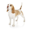 Smart Nature Vet Skin & Coat Care 1,5kg Wsparcie zdrowej skóra psa.  