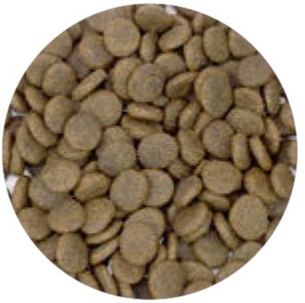 Smart Nature Holistik Dog Skin Coat Fish 12kg bez zbóż  bez kurczaka, HYPO
