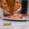 Princess Classic 70g Kurczak Tuńczyk Szprocik Malgaski mokra karma dla kota w galaretce