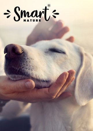 Smart Nature Holistic Dog Sensitive Rabbit 12kg sucha hipoalergiczna karma dla psów z mięsa królika 