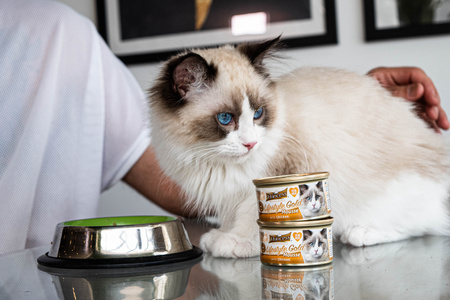 Princess Mus Gold Mousse Indyk 85gr mokra karma dla kota w formie musu