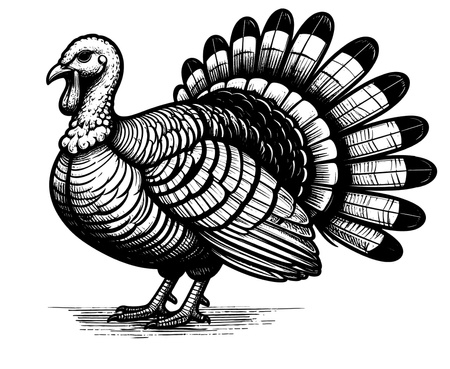 Smart Nature Pure TURKEY 95% MIĘSA Monoproteinowa wysokomięsna karma mokra dla psa