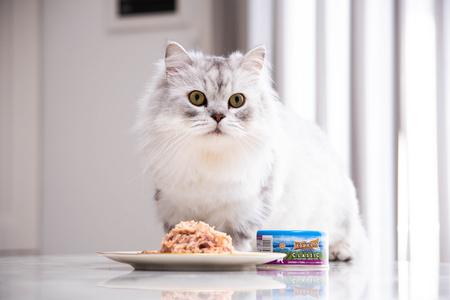 Princess Premium Kurczak Tuńczyk Jagody Goji 170g mokra karma dla kota