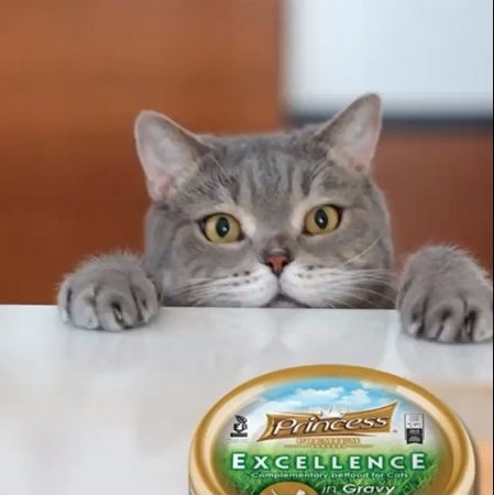 Princess Excellence Tuńczyk Pacyficzny Ryż 70g karma mokra dla kota