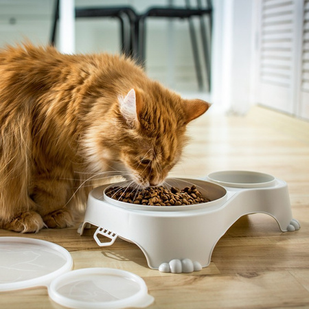 Rotho Sally zamykana miska dwukomorowa na na karmę kota lub psa 1.0 litr + 0.28l kolor piaskowy