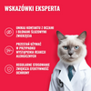 Pets Pet Anti insect 250ml mgiełka przeciw kleszczom dla psów i kotów